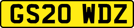 GS20WDZ