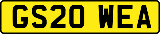 GS20WEA