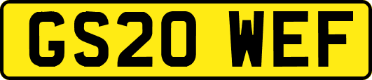 GS20WEF