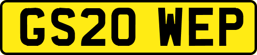 GS20WEP