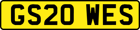 GS20WES
