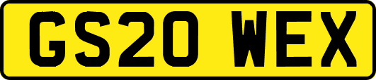 GS20WEX
