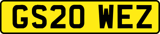 GS20WEZ