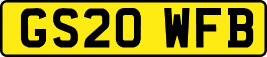 GS20WFB