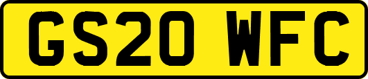 GS20WFC