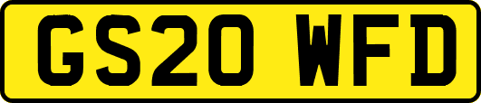 GS20WFD