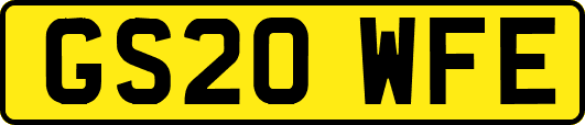 GS20WFE