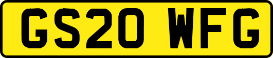 GS20WFG