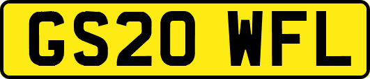 GS20WFL