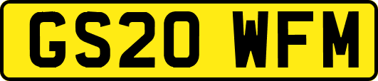 GS20WFM