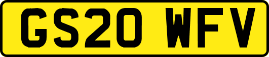 GS20WFV