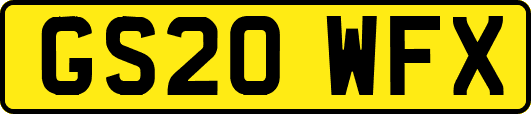 GS20WFX