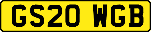 GS20WGB