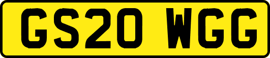 GS20WGG