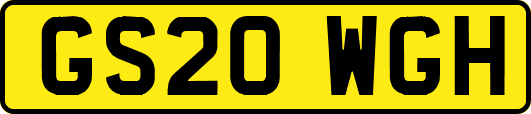 GS20WGH
