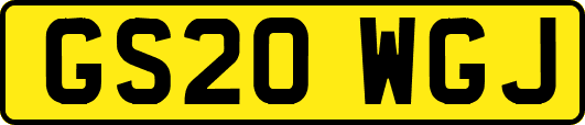GS20WGJ