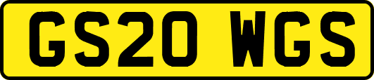GS20WGS