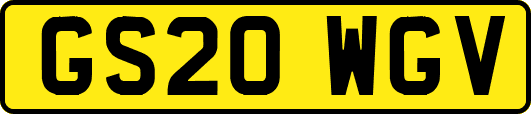 GS20WGV