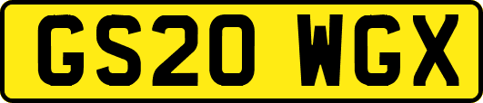 GS20WGX