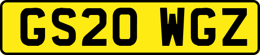 GS20WGZ