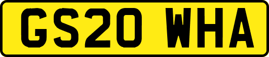 GS20WHA