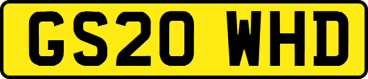 GS20WHD