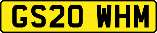 GS20WHM