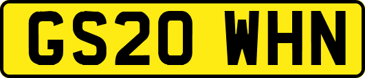 GS20WHN