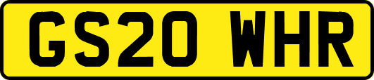 GS20WHR