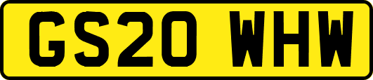 GS20WHW