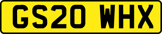 GS20WHX