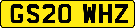 GS20WHZ