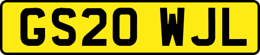 GS20WJL