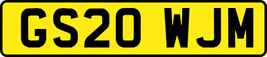 GS20WJM