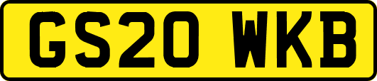 GS20WKB
