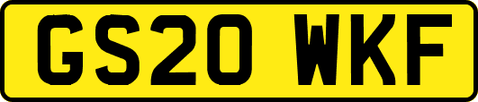 GS20WKF