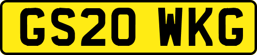 GS20WKG