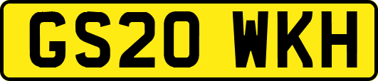 GS20WKH