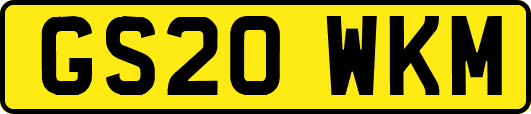 GS20WKM
