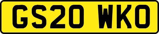 GS20WKO