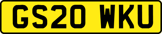 GS20WKU