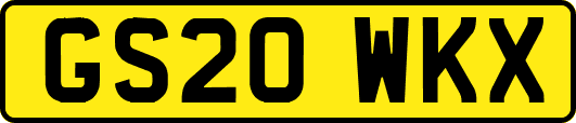 GS20WKX