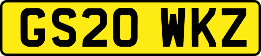 GS20WKZ
