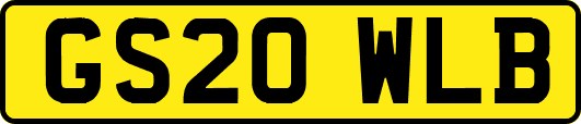 GS20WLB