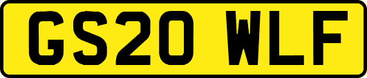 GS20WLF