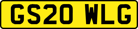 GS20WLG