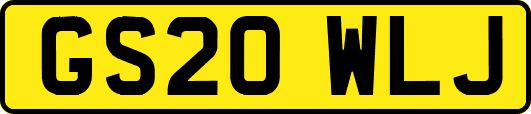 GS20WLJ