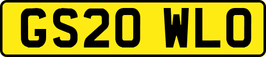GS20WLO