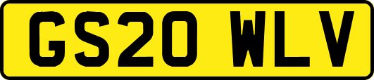 GS20WLV