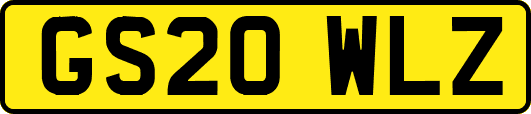 GS20WLZ